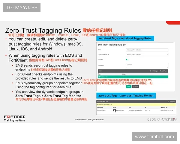 如何快速访问AG视讯最新域名，详细步骤与安全提示让你轻松登录游戏